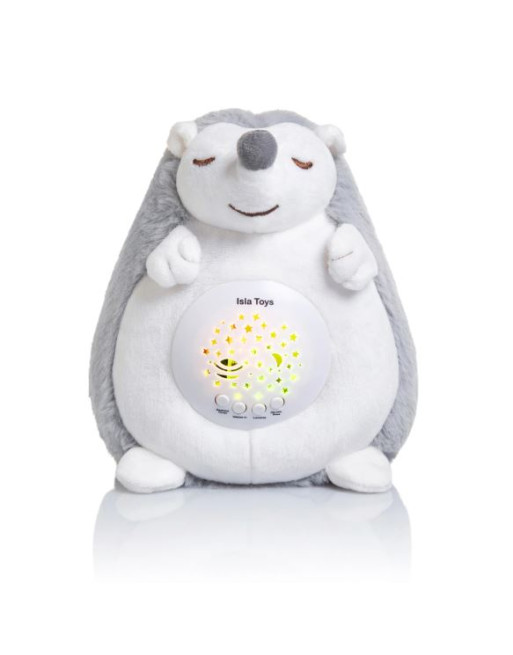 Peluche Coranique Interactive avec Veilleuse et Détecteur de Pleurs - Jouet Islam Apprentissage du Coran, Alphabet Arabe et 99 Noms d'Allah - France